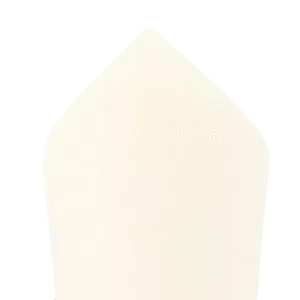 ALPES DETERGENTS Serviette 38x38 2 plis